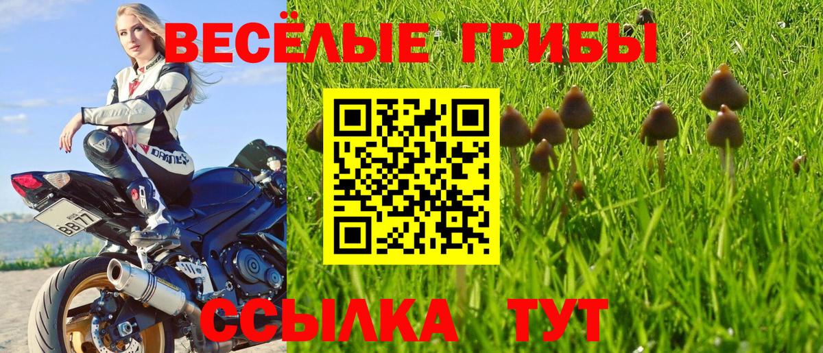 Псилоцибиновые грибы Magic Shrooms  Вход с VPN  Лосино-Петровский  Псилоцибиновые грибы ЛСД 